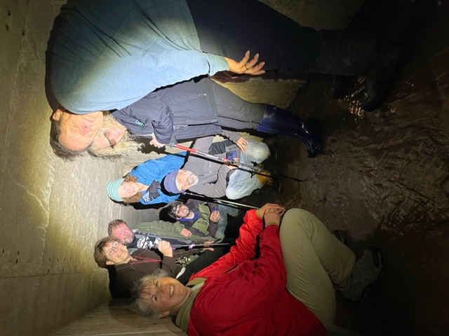 Architect Group Cynthia 