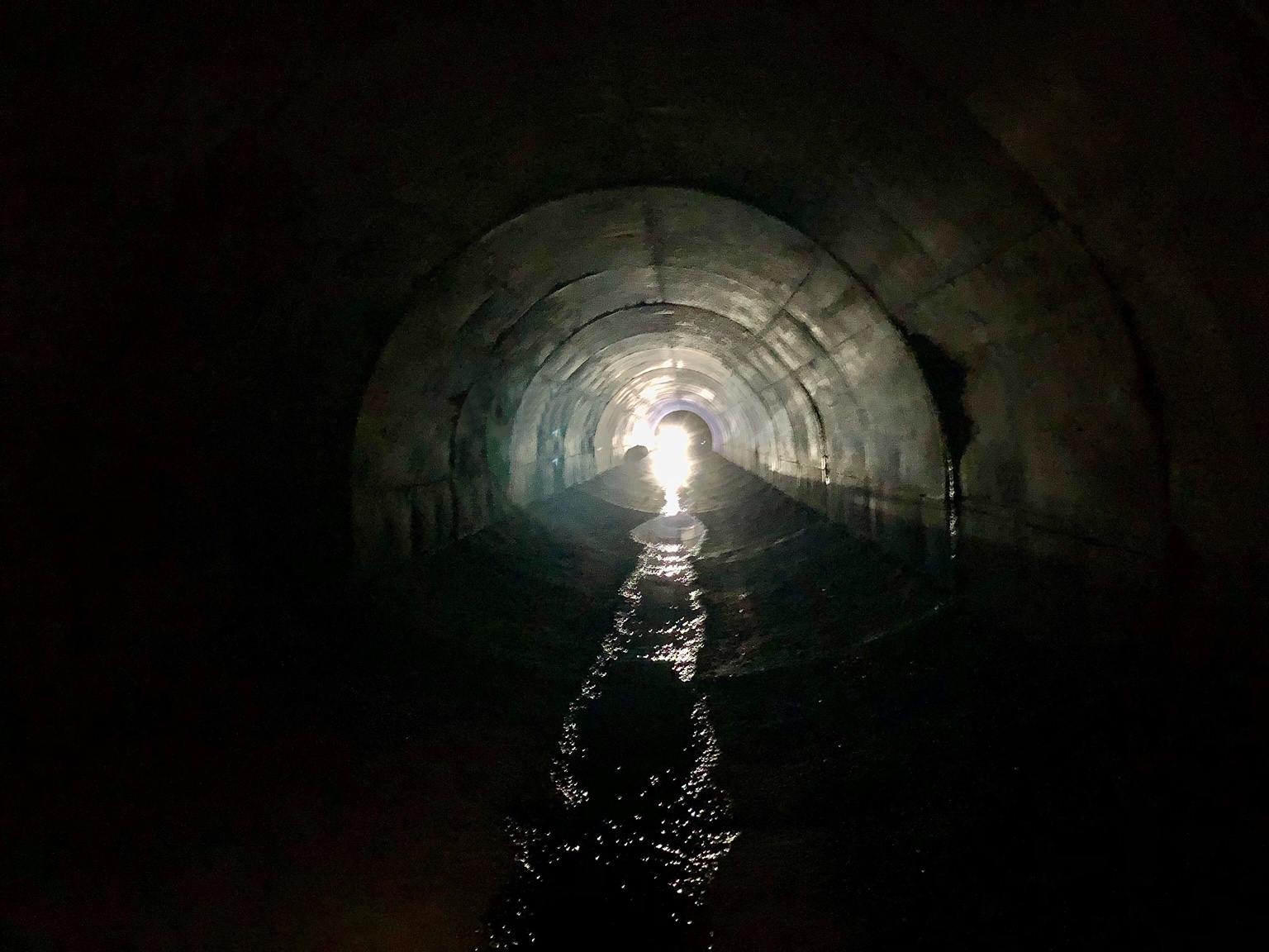 Architect Tunnel damp