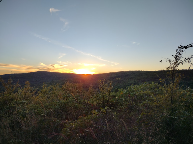 Article Proffit Mtn8