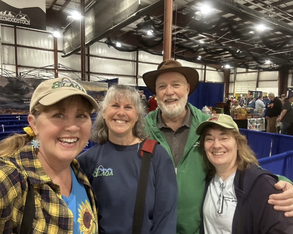 GWXXI LFrank DM and geogals