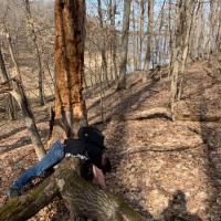 Michael-Smith---MOGA-Cootieman-left-for-dead