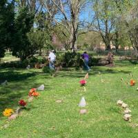 Michael-Smith---IMG_2573