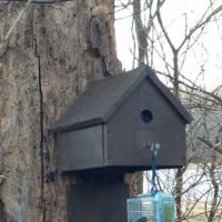 2013-03-09_16-53-00_500