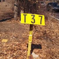 IMG_20140309_124047_505