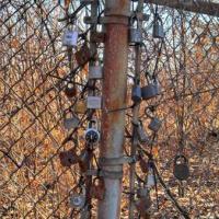 IMG_20140309_145746_510