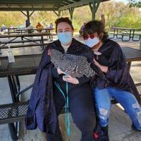 123492061_1006387523192963_5157014140553202416_n