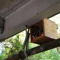 242959728_10225596391960485_548283407918583242_n