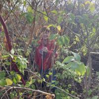 313434634_10221962801514920_8681180808890892061_n